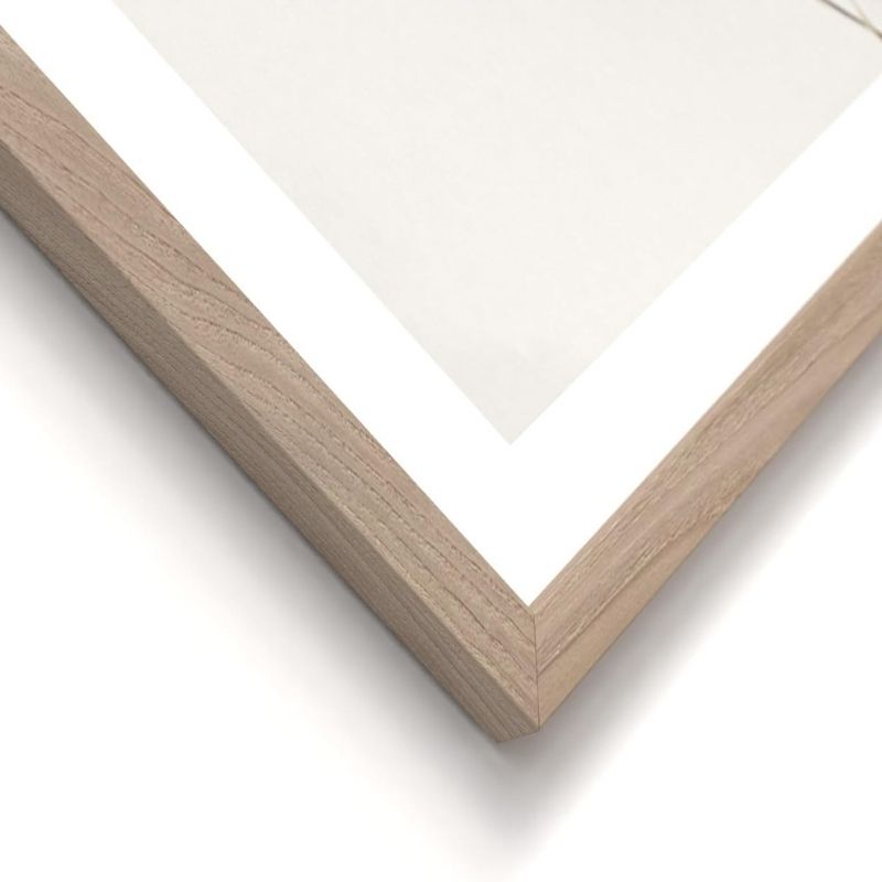 Bilder Set Floral mit hochwertigem Holzrahmen I 3x 30x30cm