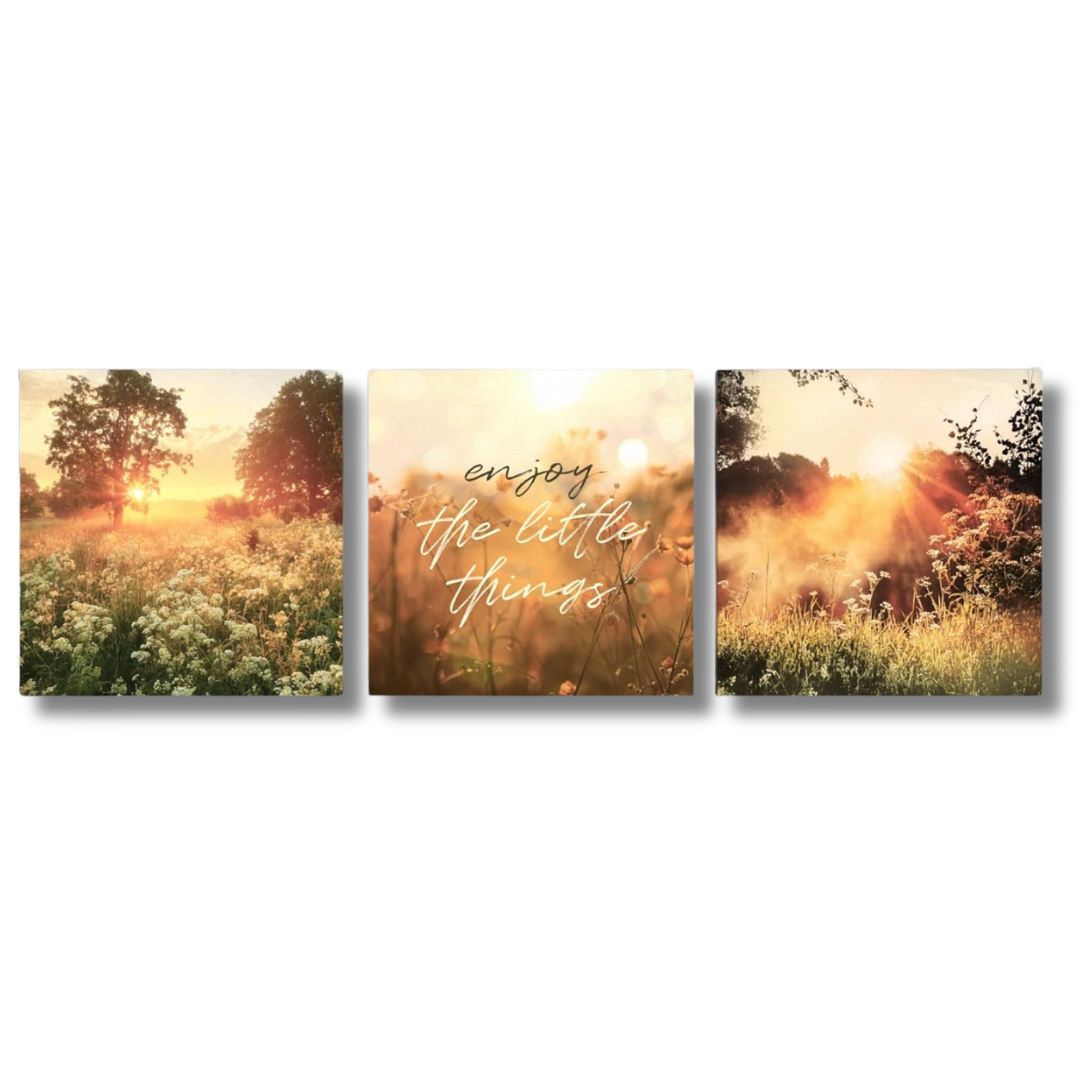 Leinwand Bilder Set in - alle drei Bilder zeigen eine sommerliche Blumenwiese, eingehüllt in goldene Sonnenstrahen. Auf einem Bild steht in geschwungener Schrift "enjoy the little things".
