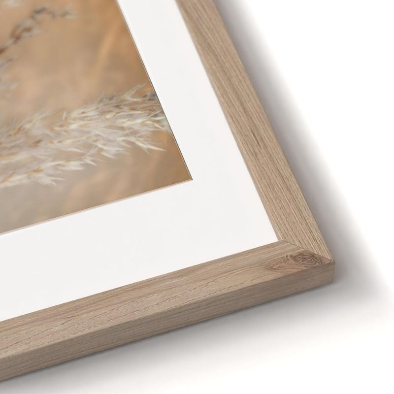 Bilder Set Pampas Harmony mit hochwertigem Holzrahmen I 2x 30x40m