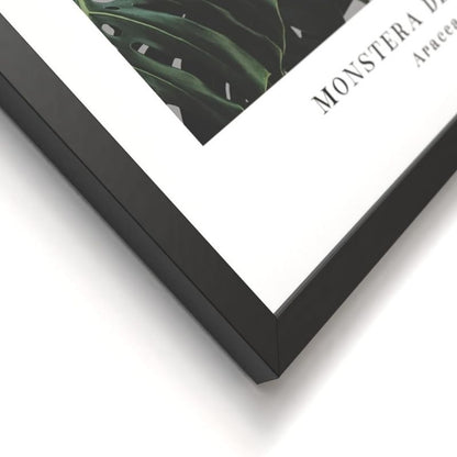 Bilder Set Plant mit schwarzem Rahmen I 3x 30x30cm