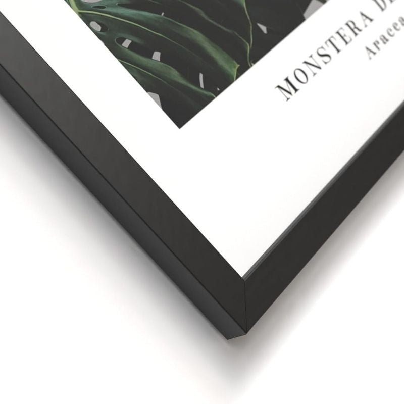 Bilder Set Plant mit schwarzem Rahmen I 3x 30x30cm