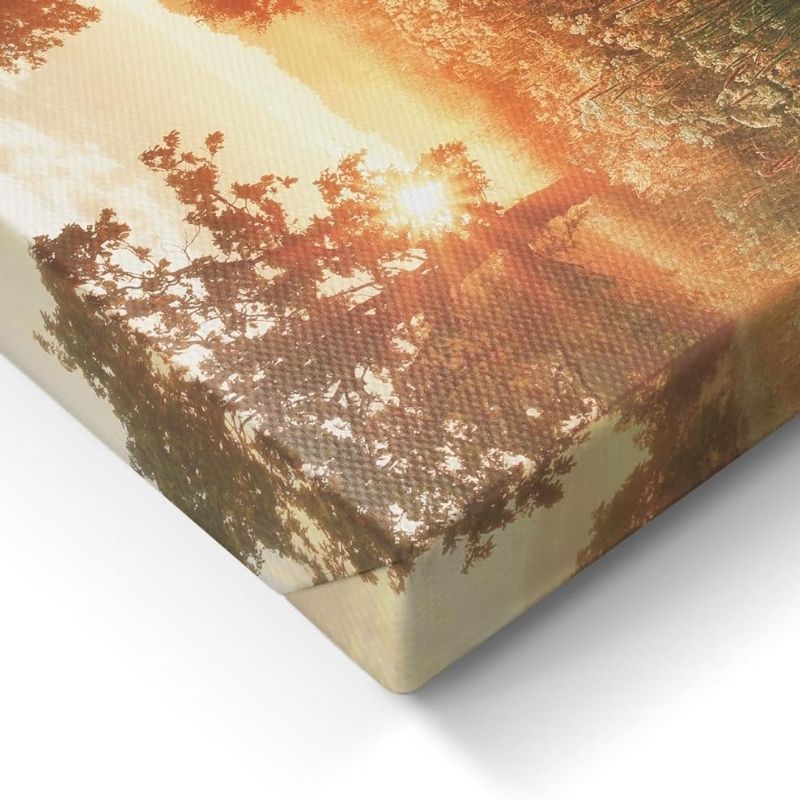 Summery I Sunlight I Picture Set Canvas 3x 32x32 cm