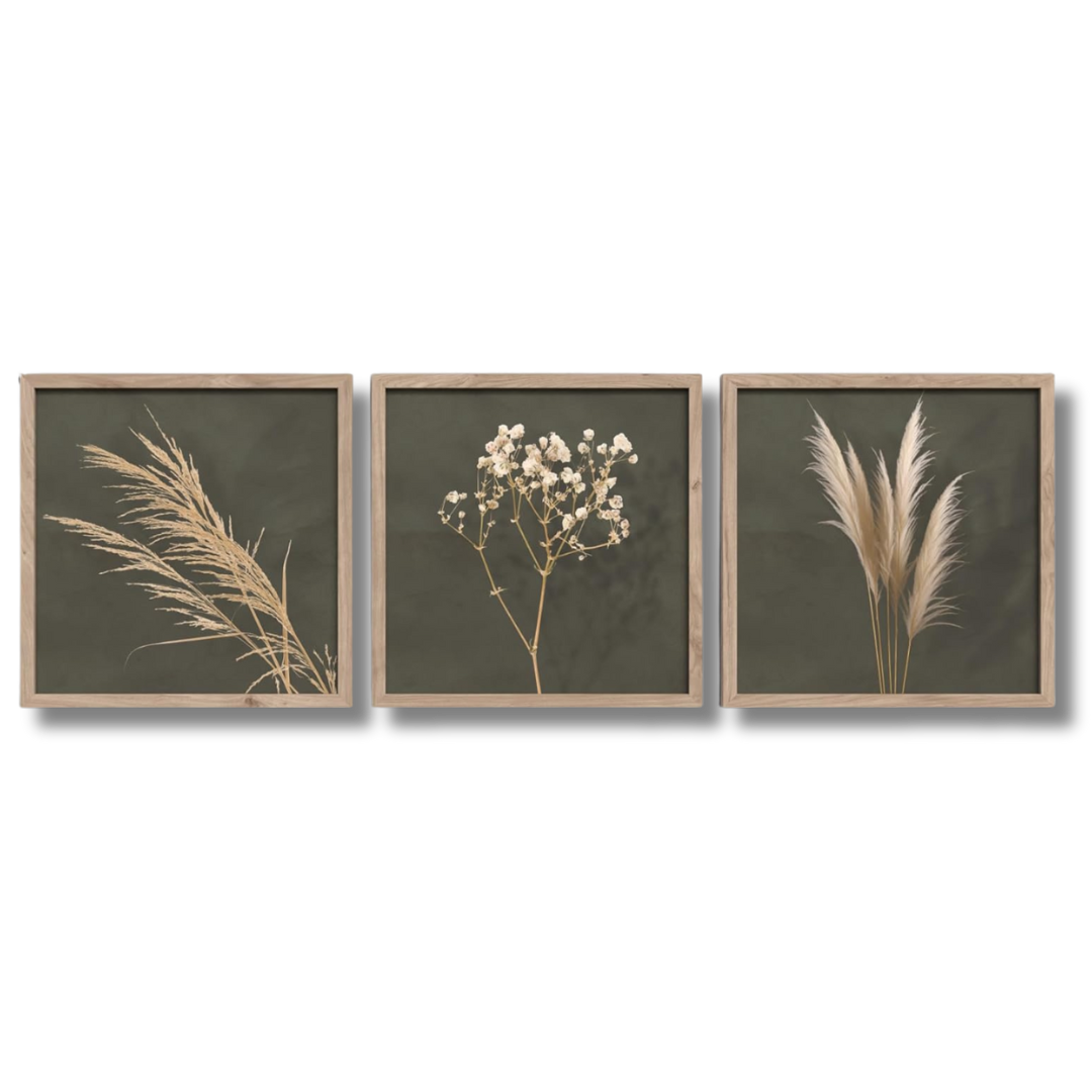 Bilder Set Rahmen - minimalistische Kunst im Boho Design mit Trockenblumen und Pamapas Gras in Beige auf olive grünem Hintergrund.